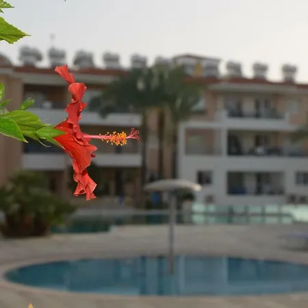 Iris Village Paphos Exterior photo